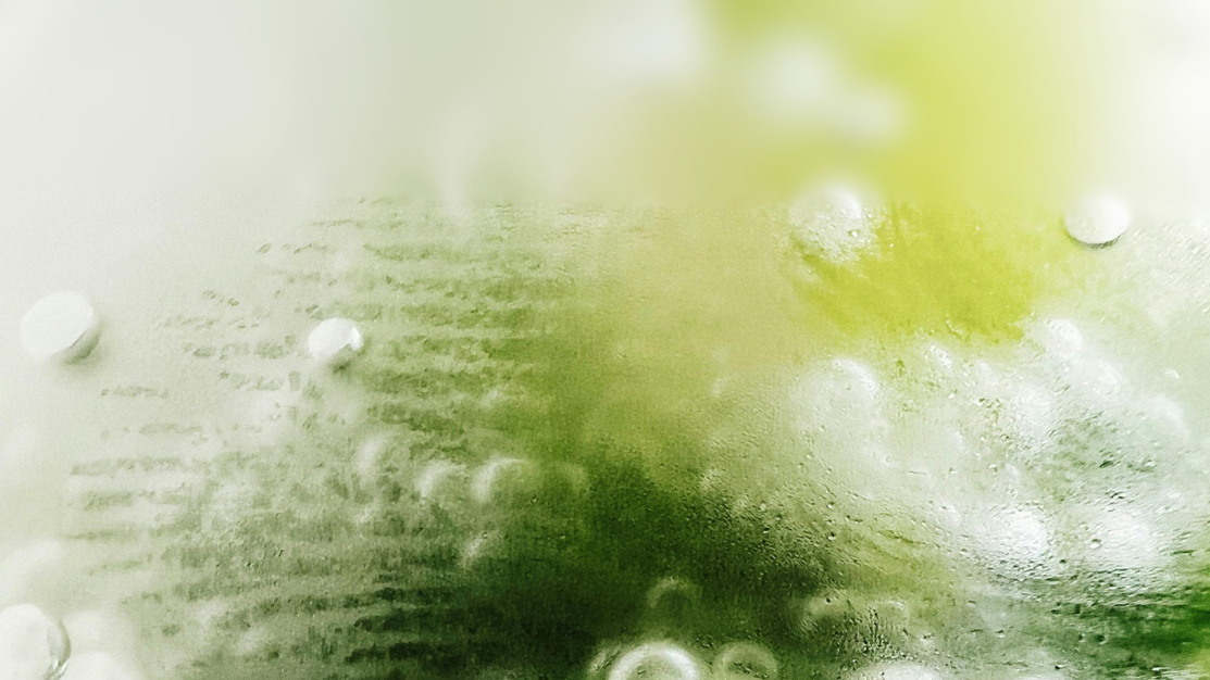 Close-up of green leaves with water droplets on a light background